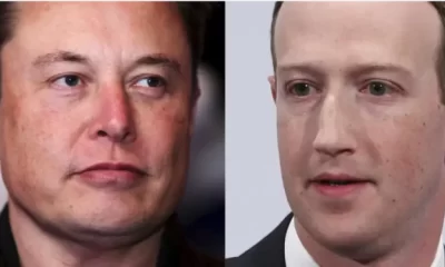 Elon Musk and Mark Zuckerberg, two global billionaires, have agreed to a massive cage fight